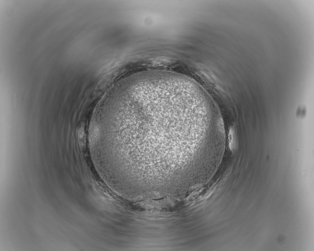 X0000094201395200711021040