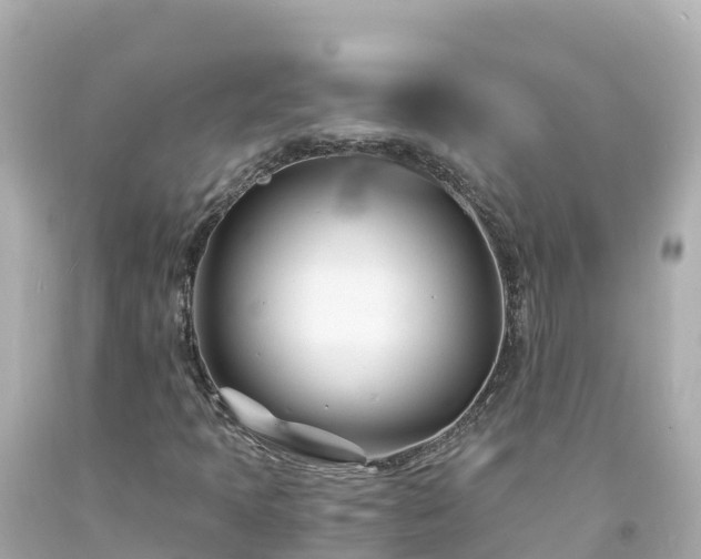 X0000094201397200711021040