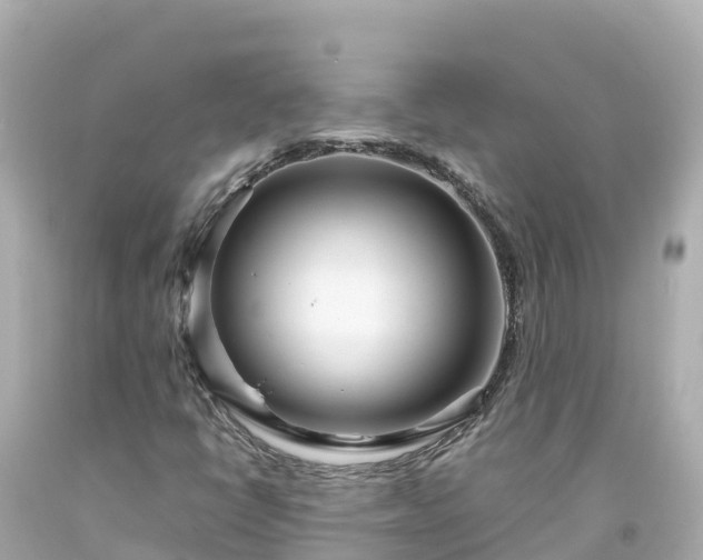 X0000094201398200711021040