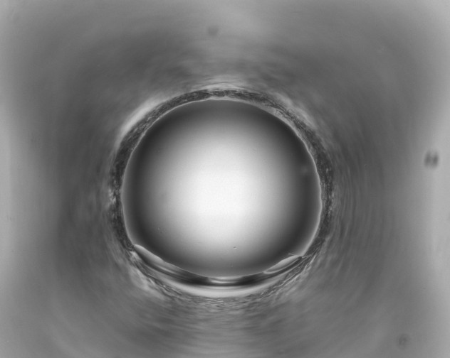 X0000094201400200711021040