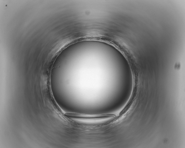 X0000094201401200711021040