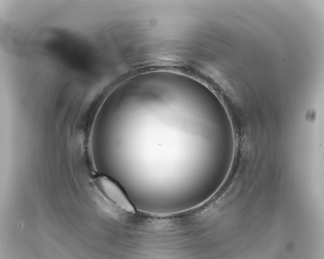 X0000094201402200711021040