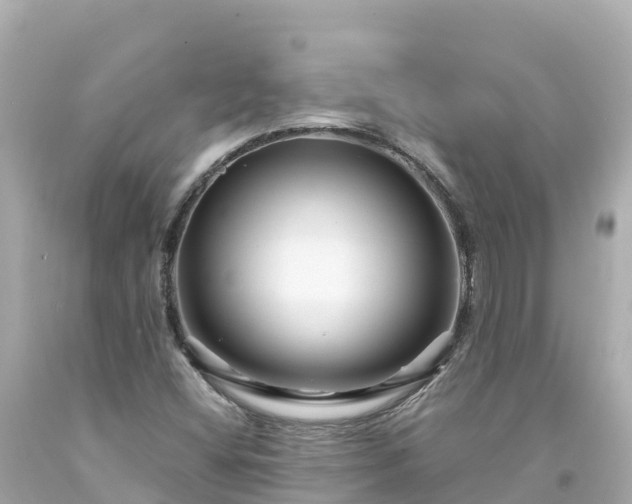 X0000094201404200711021040