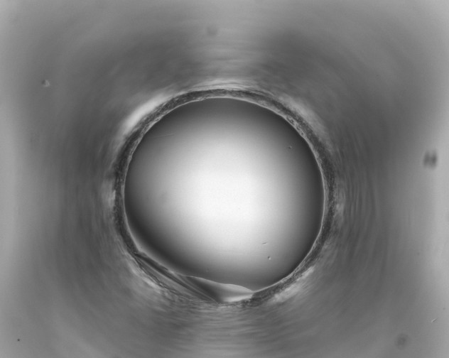 X0000094201406200711021040