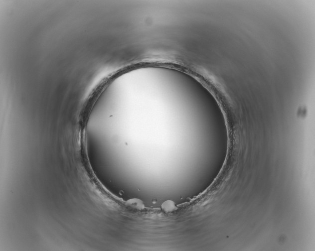 X0000094201408200711021040