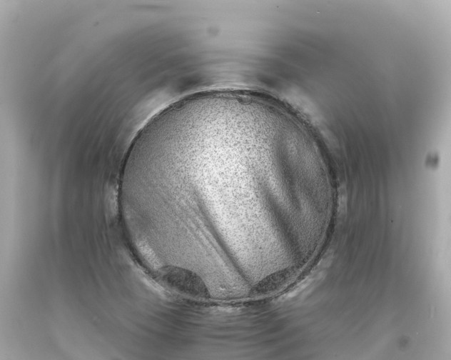 X0000094201409200711021040