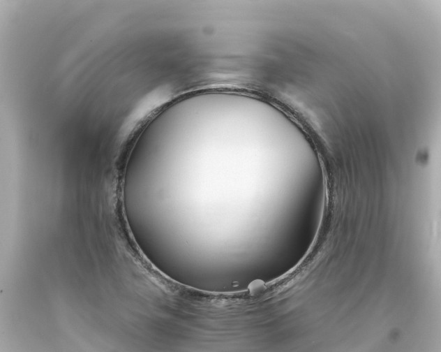 X0000094201411200711021041