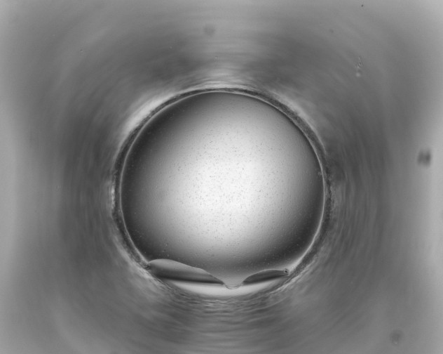 X0000094201415200711021041