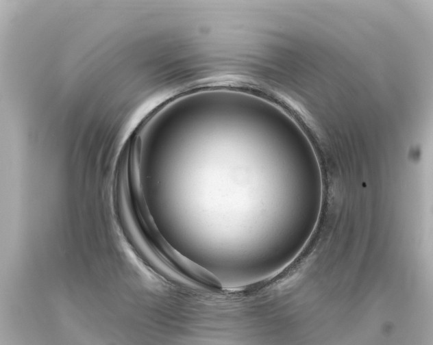 X0000094201418200711021041