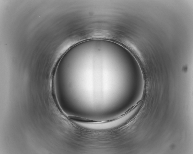 X0000094201419200711021041