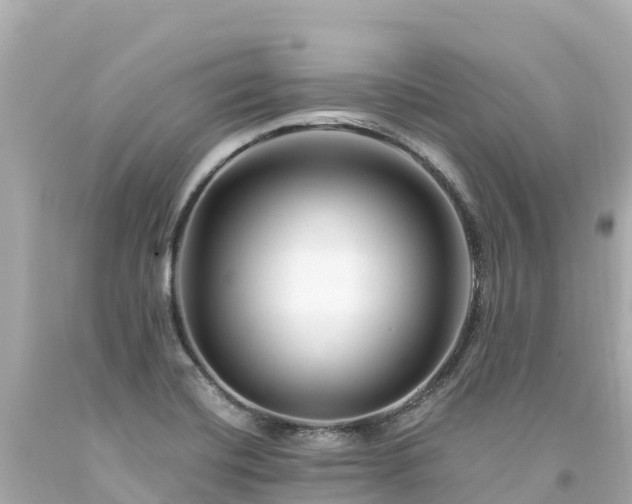 X0000094201420200711021041