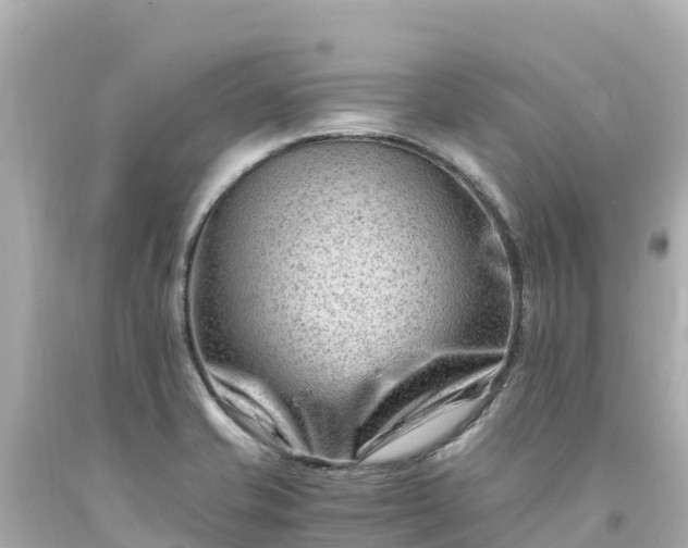 X0000094201421200711021041