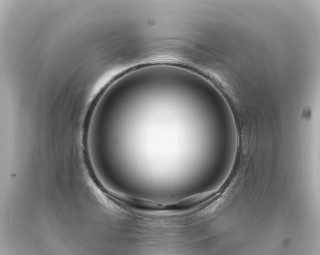 X0000094201422200711021041