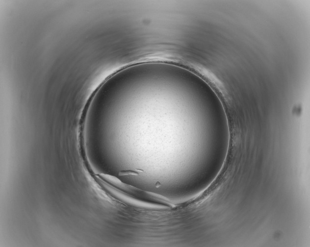 X0000094201423200711021041