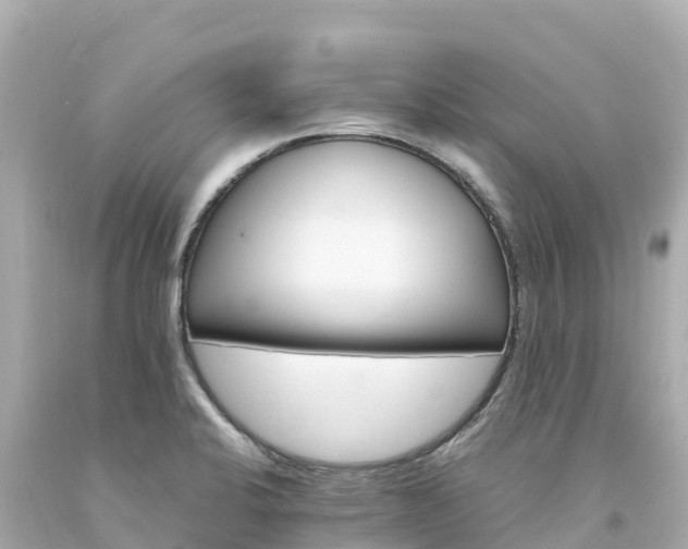 X0000094201424200711021041