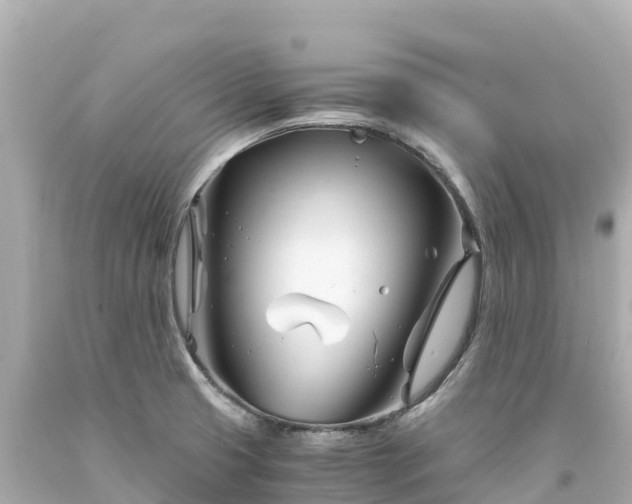 X0000094201425200711021041