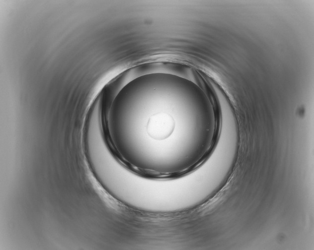 X0000094201426200711021041