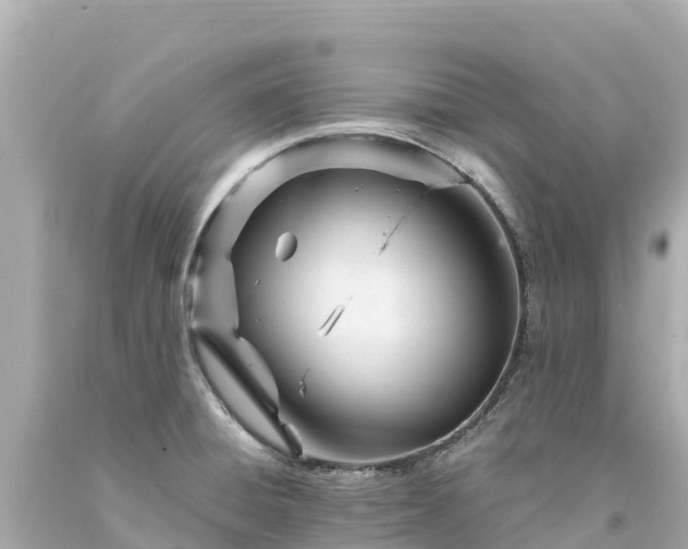 X0000094201428200711021041