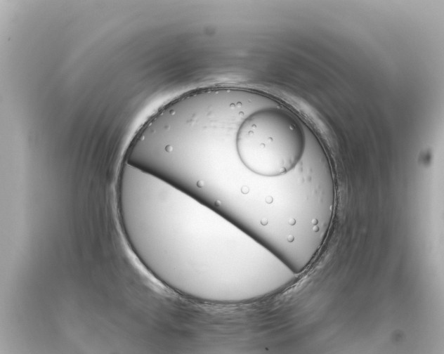 X0000094201432200711021041