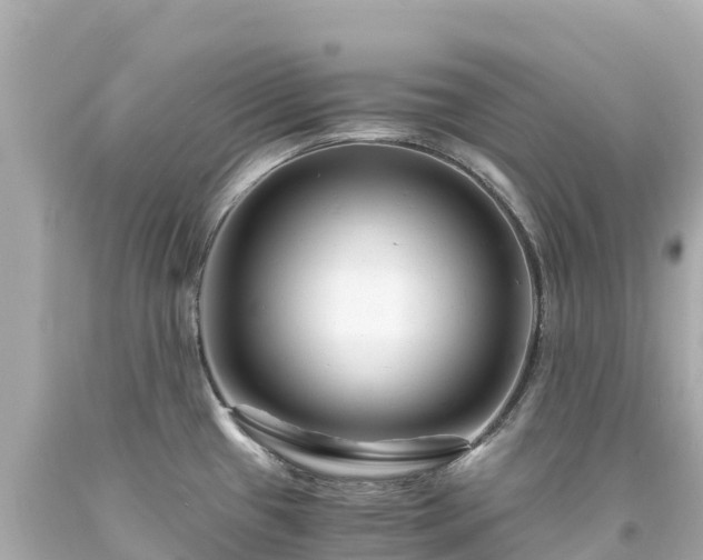 X0000094201433200711021041