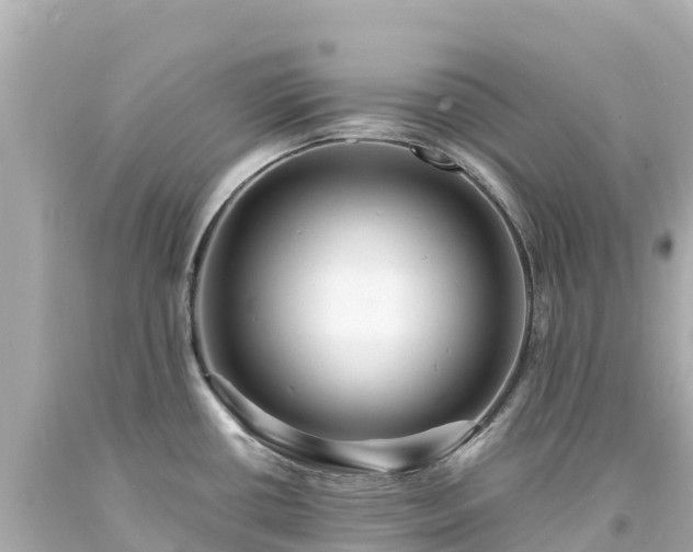 X0000094201434200711021041