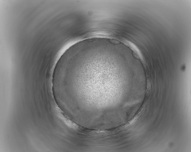 X0000094201435200711021041
