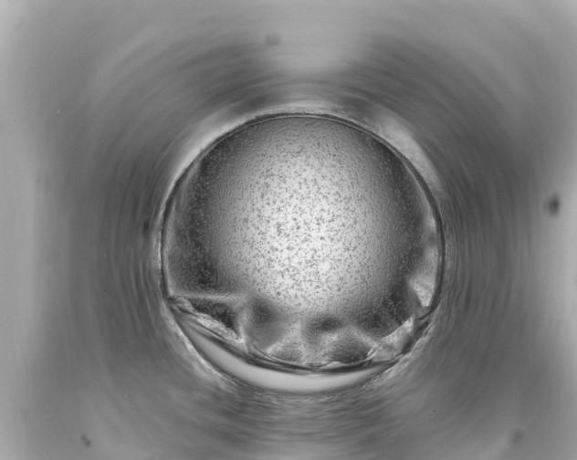 X0000094201436200711021041