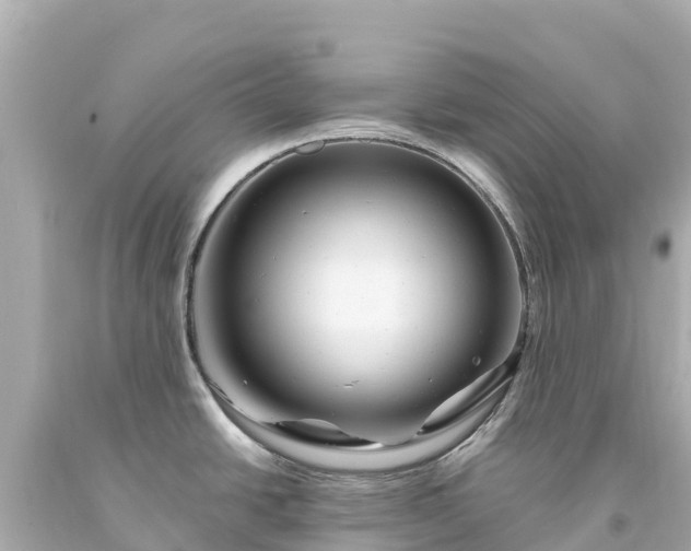 X0000094201438200711021041