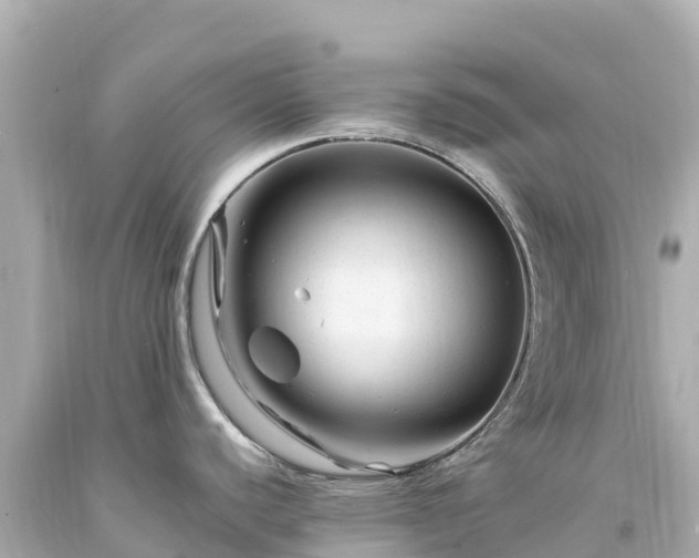X0000094201440200711021041