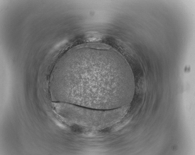 X0000094201441200711021040