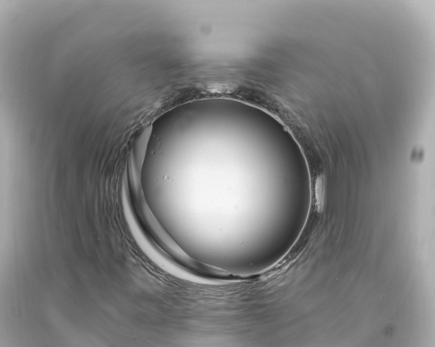 X0000094201443200711021040