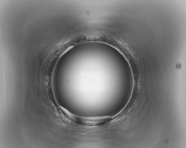 X0000094201445200711021040