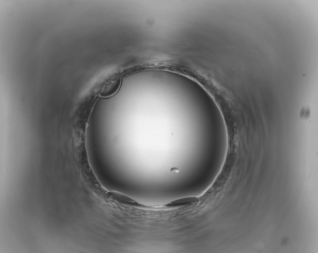 X0000094201447200711021040