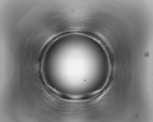 X0000094201449200711021040