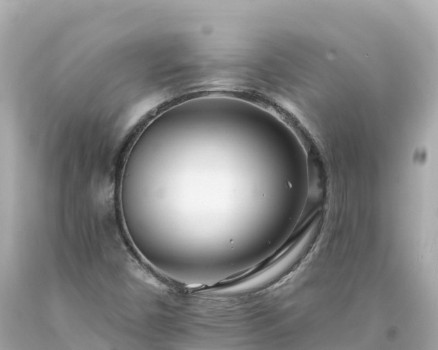 X0000094201450200711021040