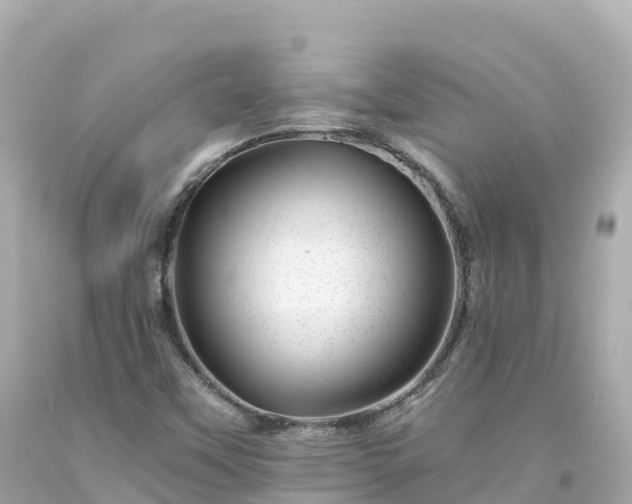 X0000094201451200711021040