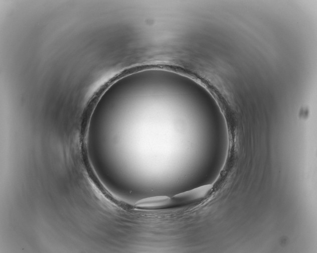 X0000094201452200711021040