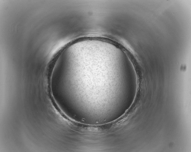 X0000094201456200711021040