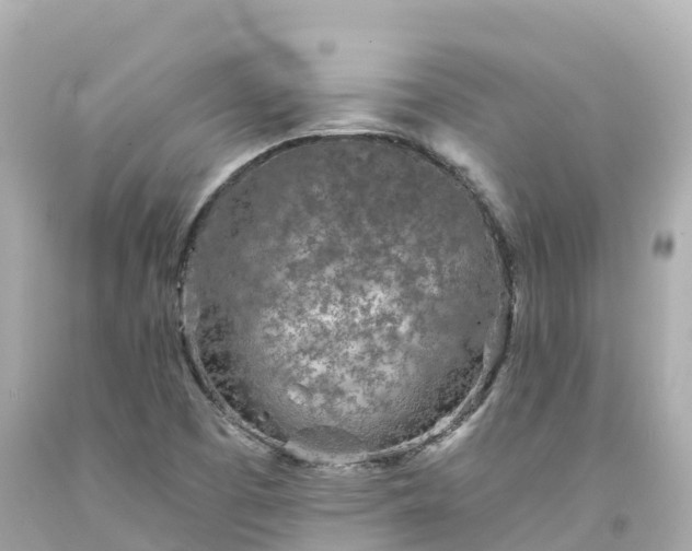 X0000094201457200711021040