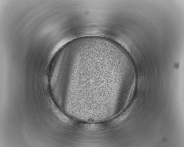 X0000094201458200711021040