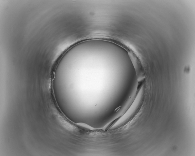 X0000094201461200711021040