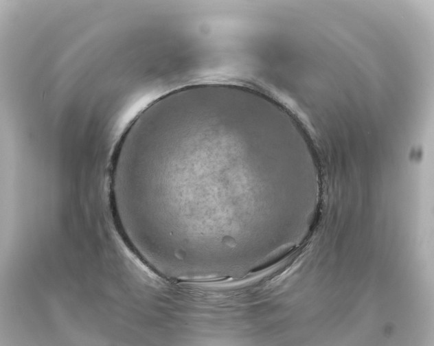 X0000094201463200711021040