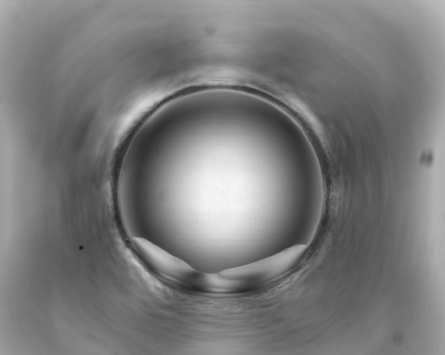 X0000094201464200711021040