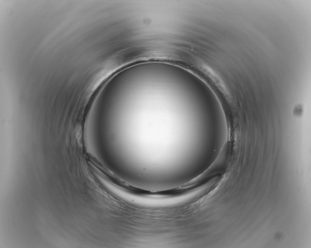 X0000094201465200711021040
