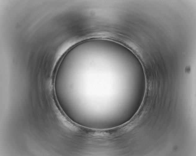 X0000094201466200711021040