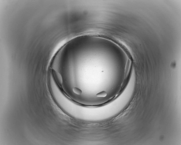 X0000094201467200711021040