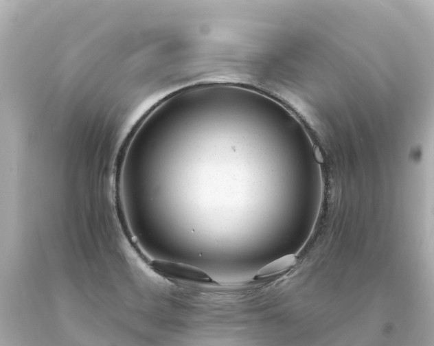 X0000094201468200711021040
