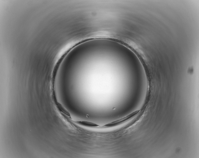 X0000094201469200711021040