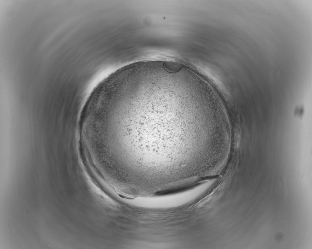 X0000094201471200711021040