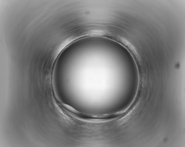 X0000094201473200711021040